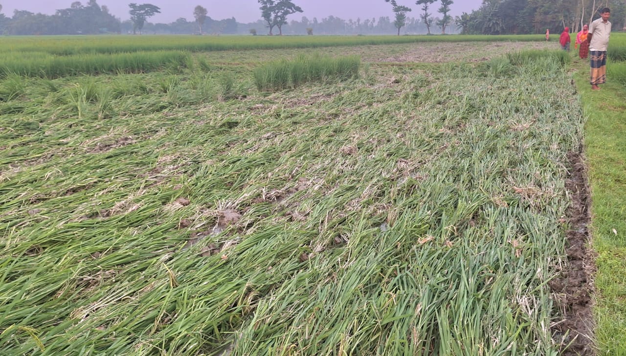 Nuclear Fusion Closer to Becoming a Reality6