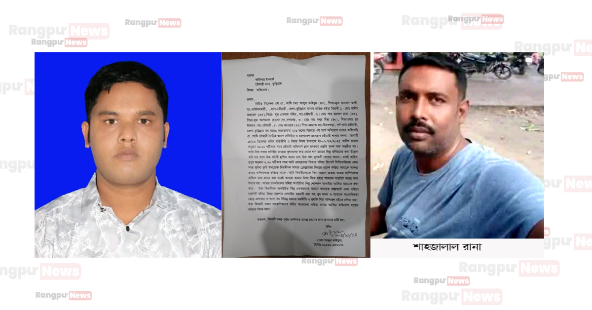 Potato export image showing many potatoes