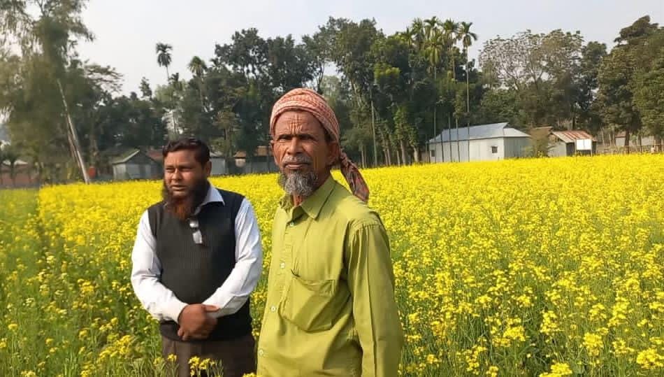 ভুরুঙ্গামারীতে সরিষার বাম্পার ফলন, কৃষকের মুখে হাসি