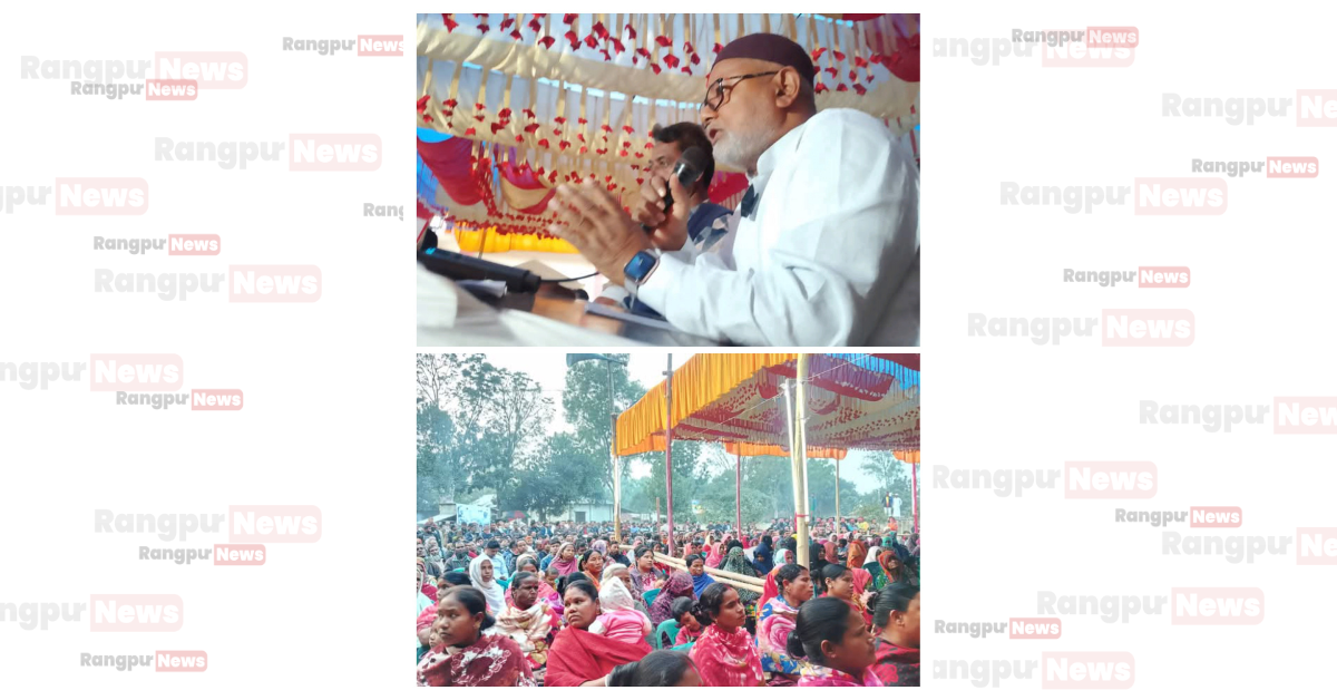 কাহারোল উপজেলার ডাবোর ইউনিয়নে ধানের শীষের বিশাল জনসভা অনুষ্ঠিত