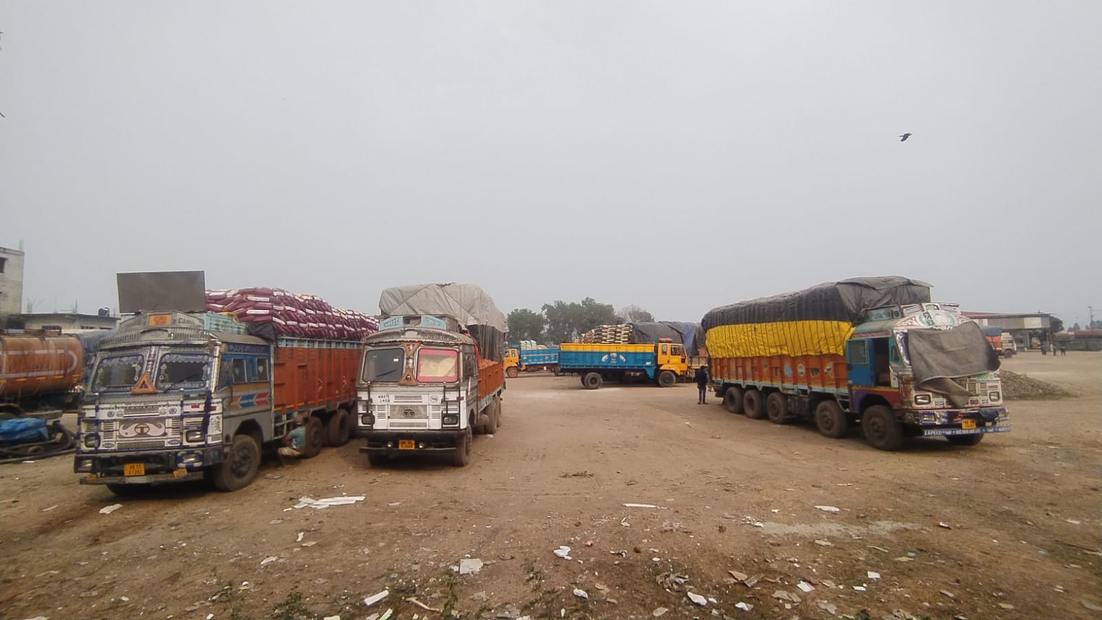 ২০২৫-২৬ অর্থবছরের প্রথম আট মাসে হিলি স্থলবন্দরে ২০৩ কোটি টাকা রাজস্ব ঘাটতি