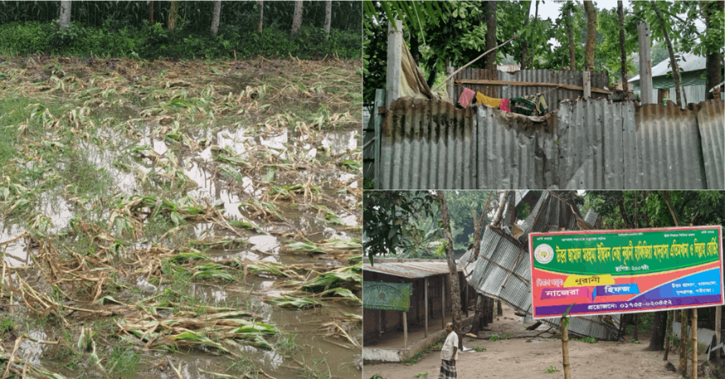বামনডাঙ্গায় কালবৈশাখি ঝড়ে লন্ডভন্ড বাড়িঘর, ফসলের ব্যাপক ক্ষতি