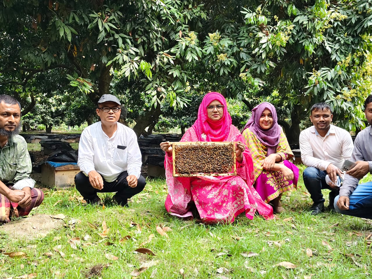 চিরিরবন্দরে লিচুর বাগানে ‘মধু বিপ্লব’।