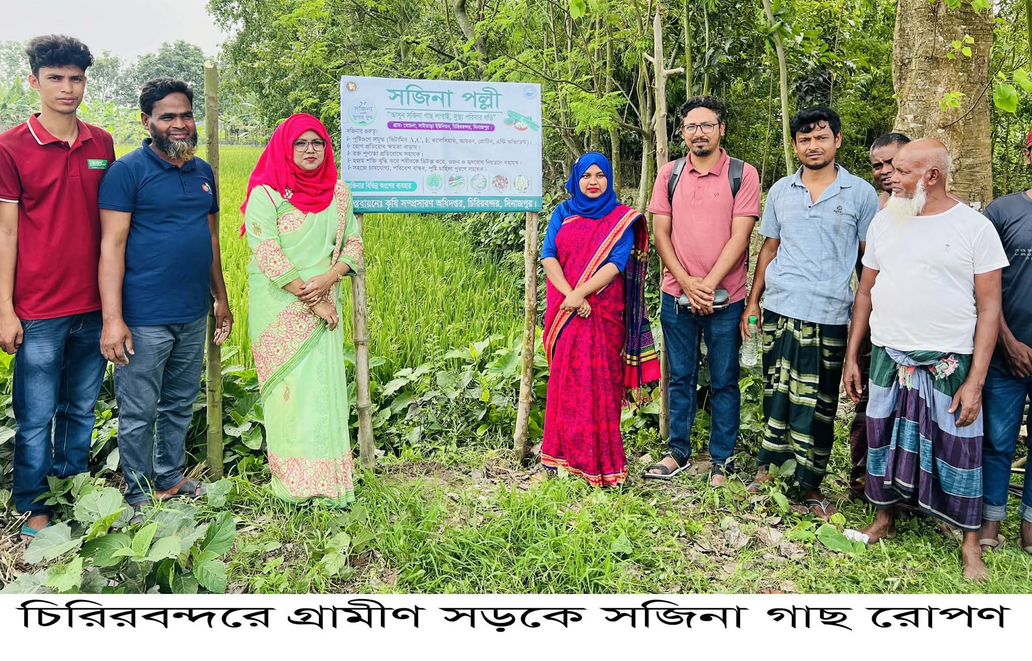 চিরিরবন্দরে গ্রামীণ সড়কে সজিনা গাছ রোপণ।