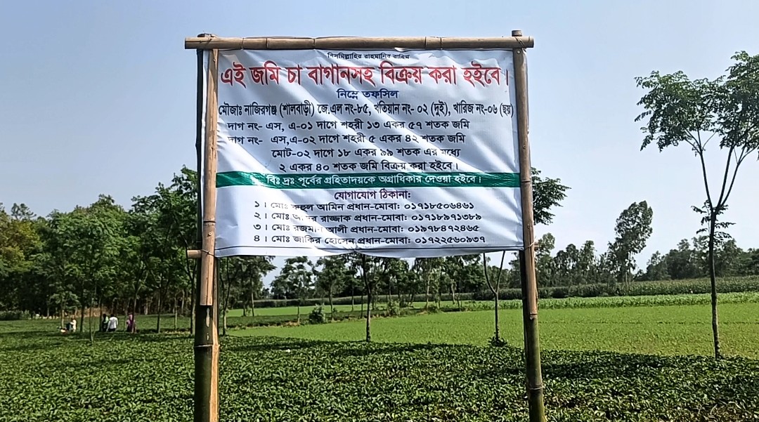 চা বাগান দখলের অভিযোগে সাবেক ইউপি চেয়ারম্যান এর বিরুদ্ধে