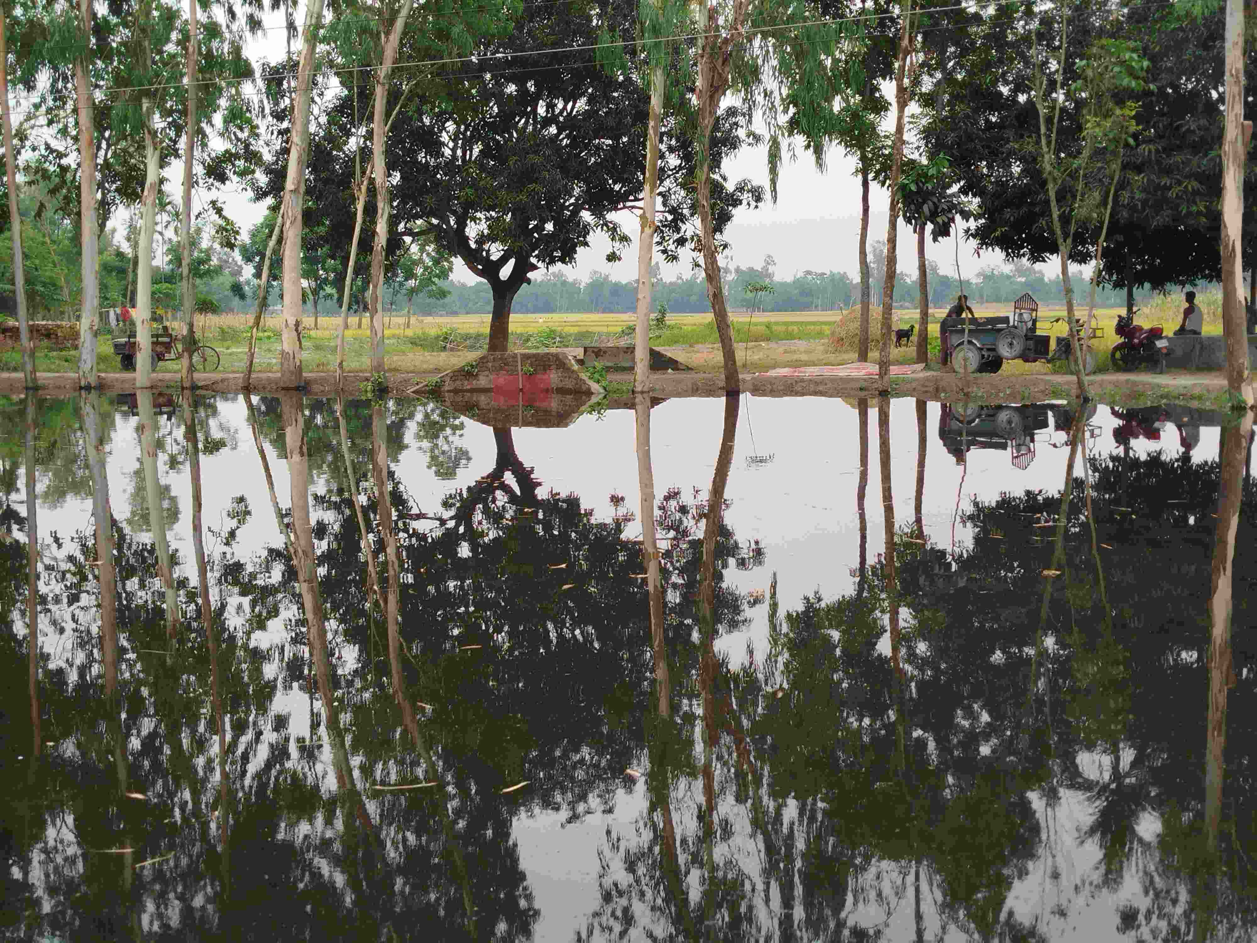 সুন্দরগঞ্জে কালভার্টের মুখ বন্ধ,পানি বন্দি ২৫ পরিবার,সীমাহীন দুর্ভোগ।