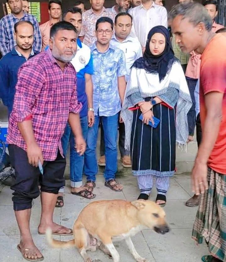 সুন্দরগঞ্জে কুকুরের কামড়ে ৫ জনের মৃত্যুর পর উপজেলার সকল কুকুরকে ভ্যাক্সিনের আওতায় আনতে ভ্যাক্সিন কার্যক্রমের উদ্বোধন।
