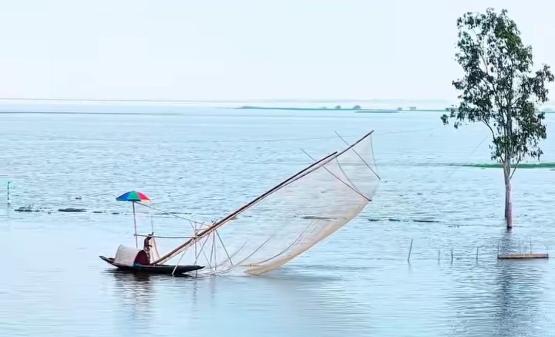 নৌকা, জাল আর হাজারো আশা—নদীর বুকে বেঁচে থাকার লড়াই