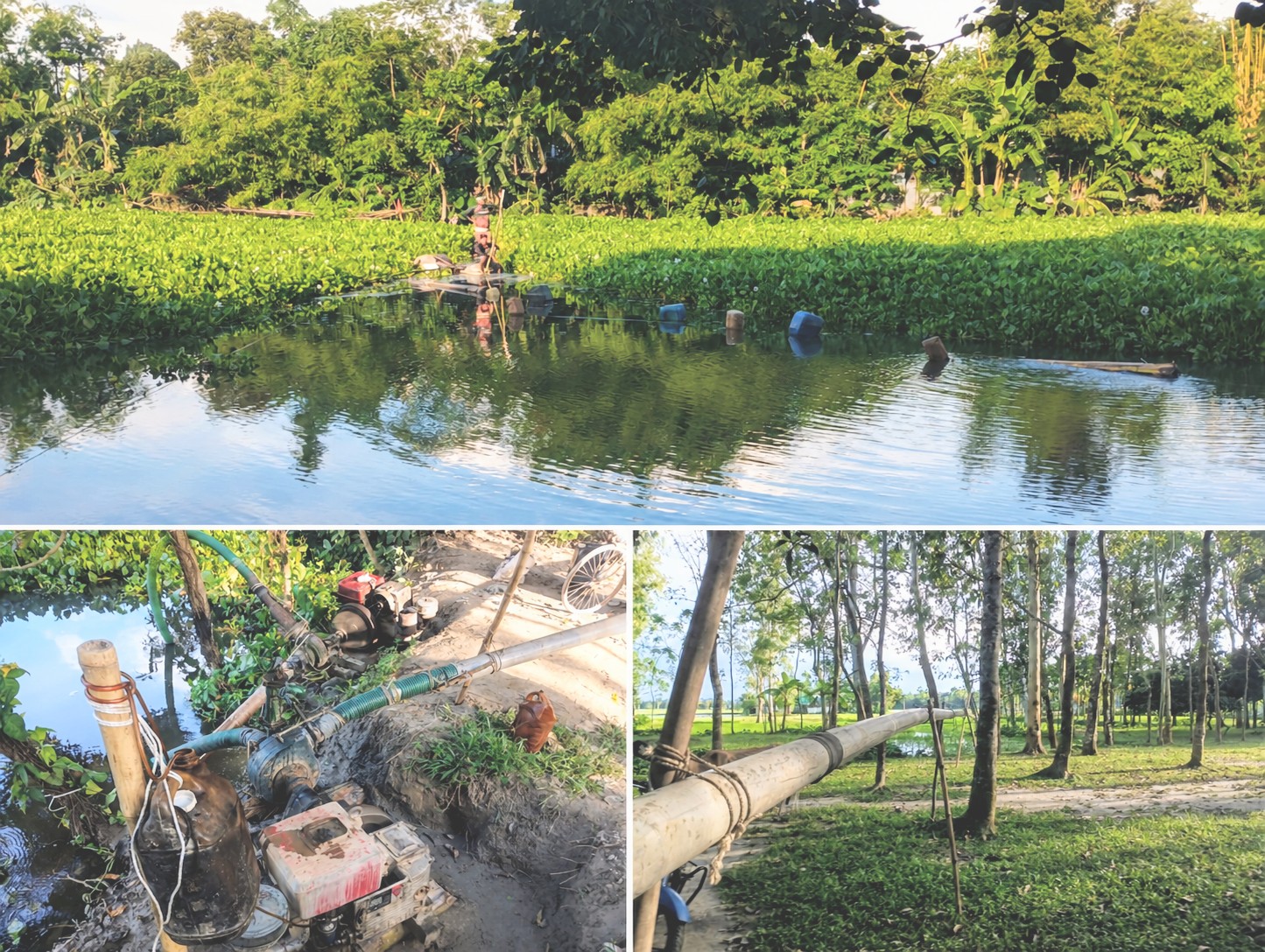 পীরগাছায় প্রকাশ্যে অবৈধ বালু উত্তোলন, ঝুঁকিতে নদী-সেতু; প্রশাসনের নীরবতায় প্রশ্ন