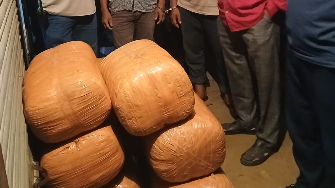 কাহারোলে ৮৮ কেজি গাঁজা উদ্ধার, গ্রেপ্তার ২
