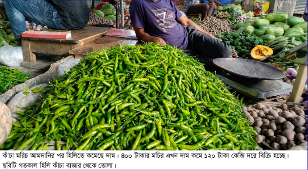হিলিতে কাঁচা মরিচের দাম ৪০০ থেকে নেমে ১২০ টাকা