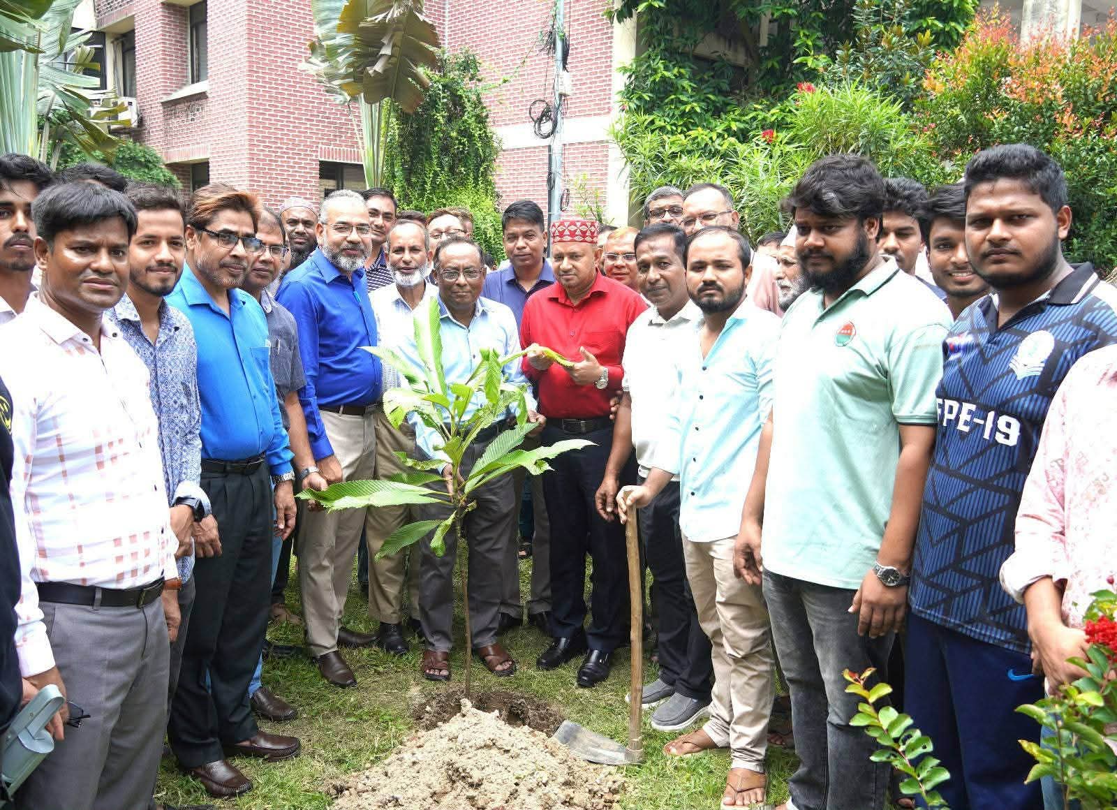 হাবিপ্রবিতে বৃক্ষরোপন কর্মসূচীর উদ্বোধন
