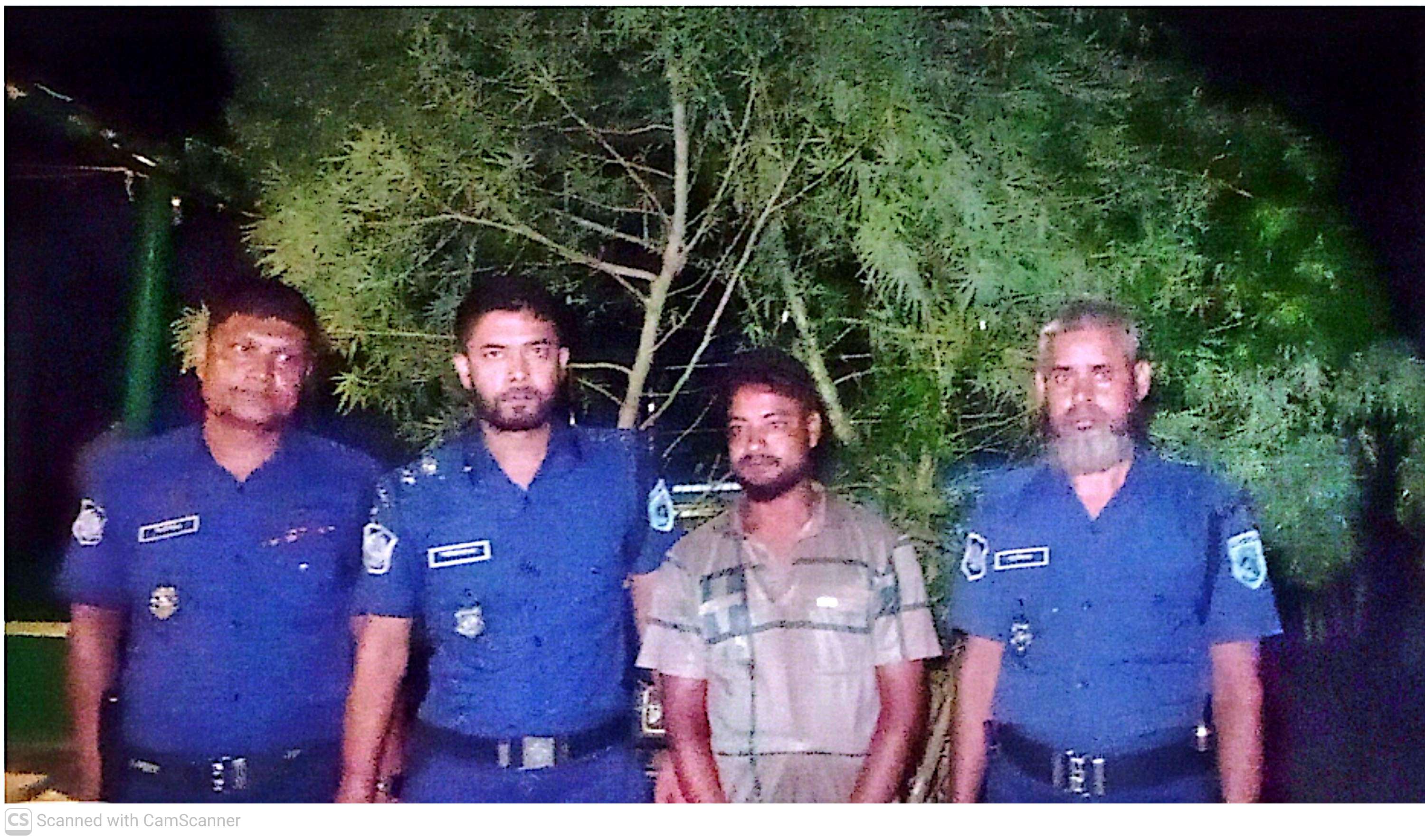 ঘোড়াঘাটে  আদার জমিতে গাঁজা চাষ গাছ সহ যুবক গ্রেপ্তার