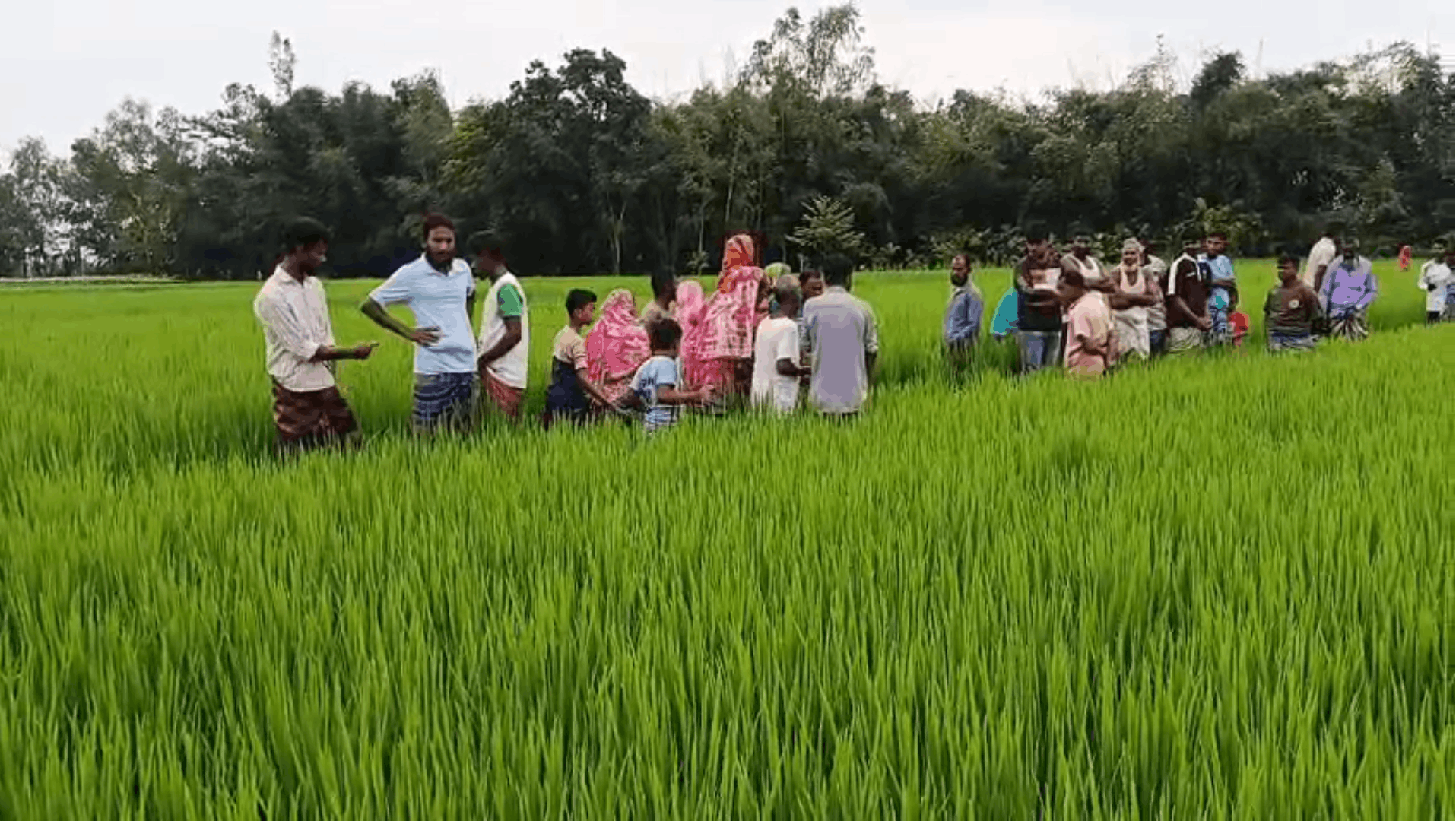 কৃষি জমির পাশ থেকে নারীর মরদেহ উদ্ধার