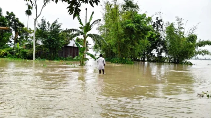 কুড়িগ্রামের নিম্নাঞ্চল প্লাবিত , পানিবন্দী ৫ শতাধিক পরিবার