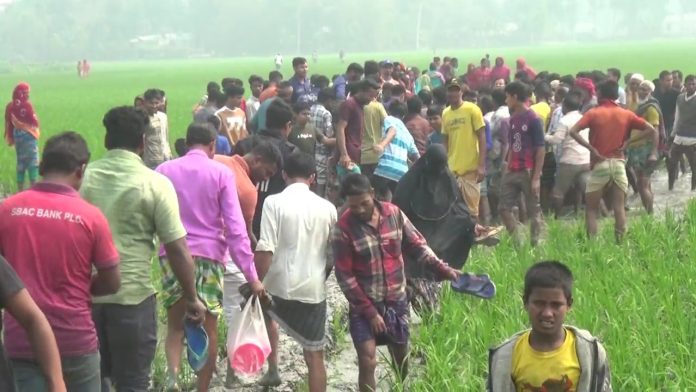 কুড়িগ্রামে ধানক্ষেত থেকে অটোরিকশা চালকের মরদেহ উদ্ধার