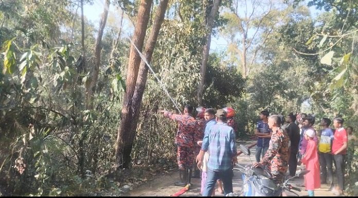 দুর্বৃত্তদের দেওয়া আগুনে পুড়লো সিংড়া জাতীয় উদ্যান